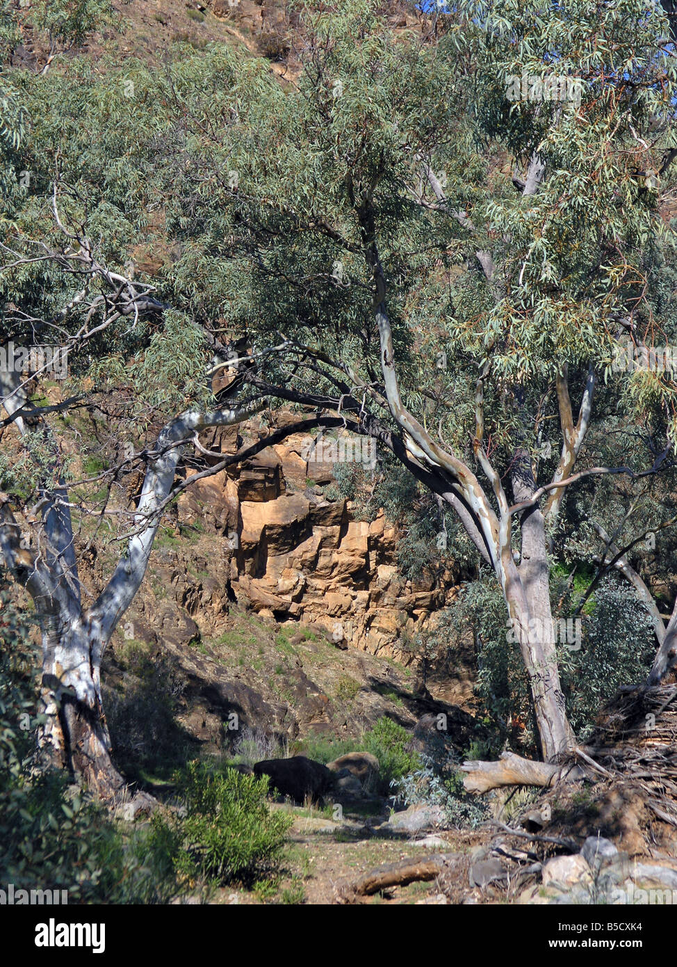 Flinders rock pools hi-res stock photography and images - Alamy