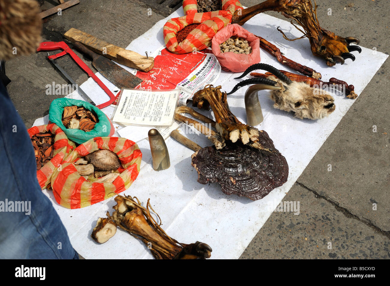 Wild animal parts are on sale in a street in Haikou, Hainan, China.10-Oct-2008 Stock Photo