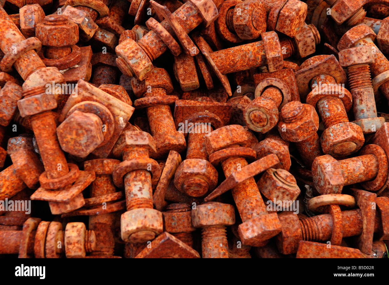 Rusted screws Stock Photo Alamy