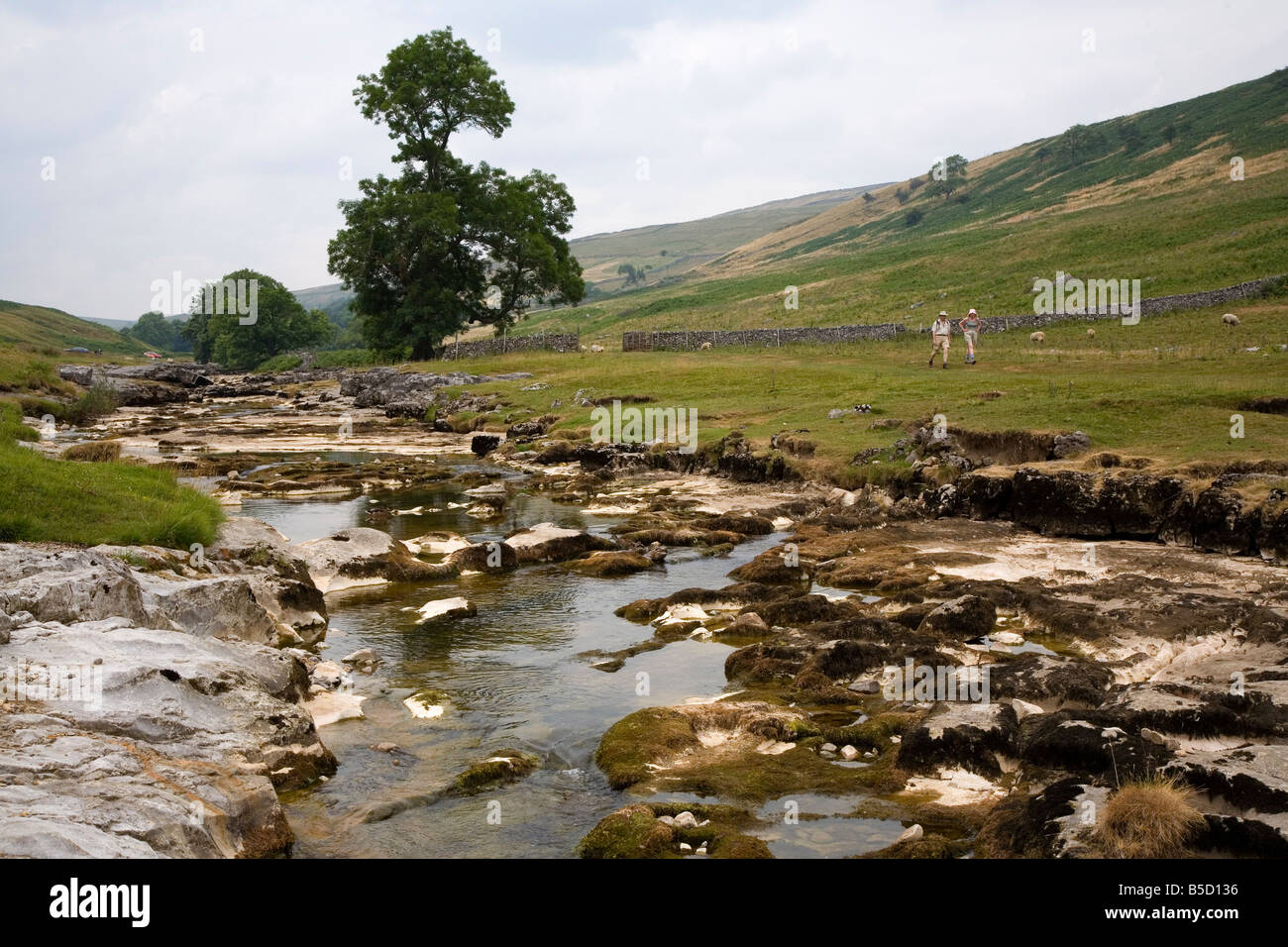 River Wharfe, Upper Wharfedale (Langstrothdale), near Hubberholme, Yorkshire Dales National Park, North Yorkshire, England Stock Photo
