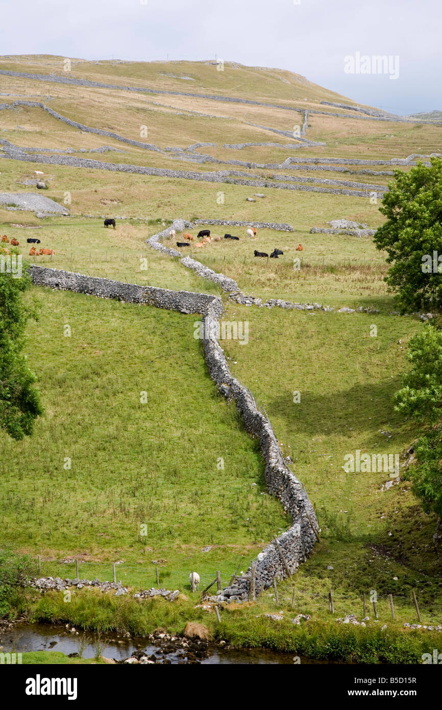 Drystone walls and limestone scenery near Malham, Yorkshire Dales National Park, North Yorkshire, England, Europe Stock Photo