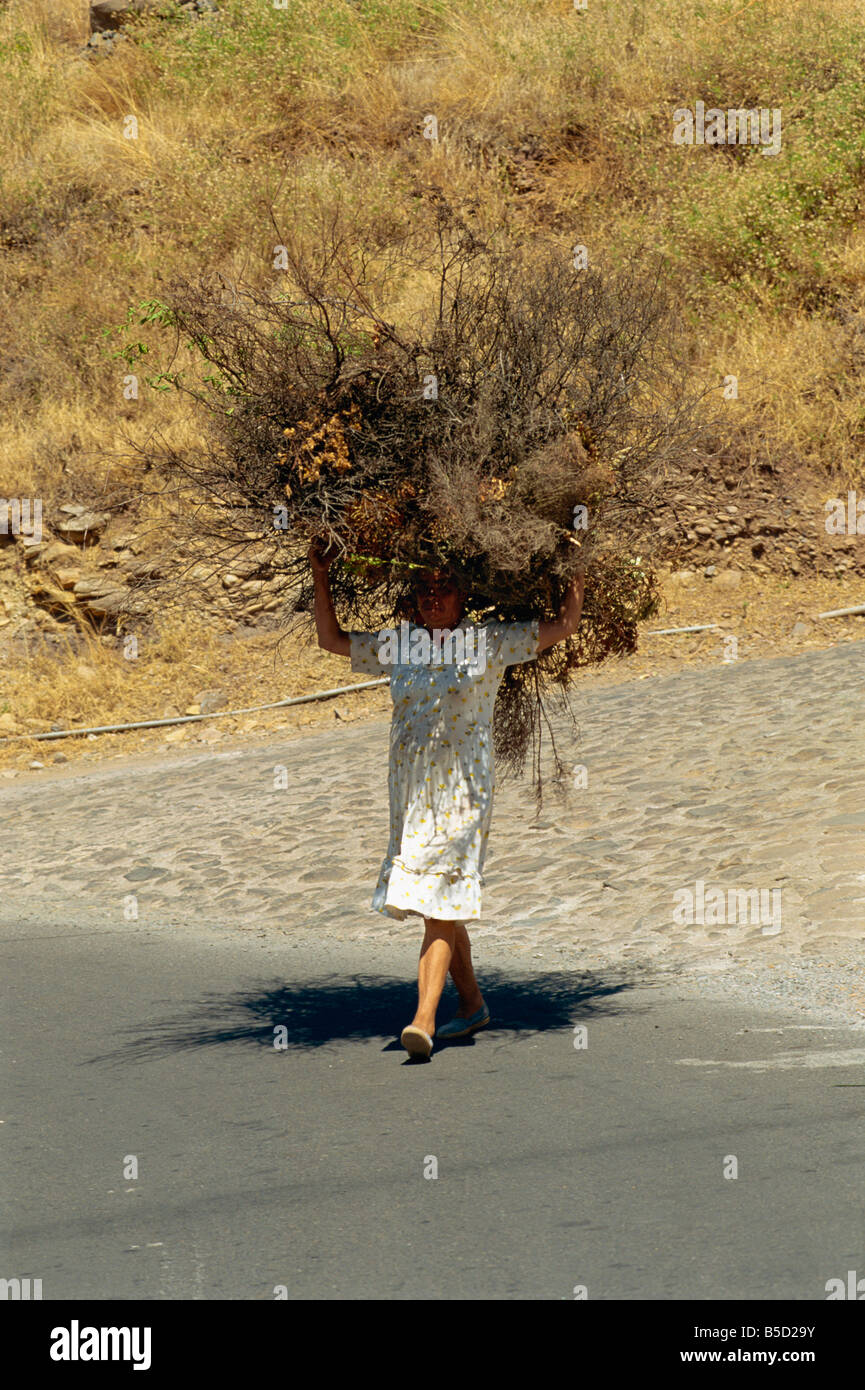 Woman carrying large brushwood bundle on her head near Las Hayas La Gomera Canary Islands Spain Atlantic Europe Stock Photo