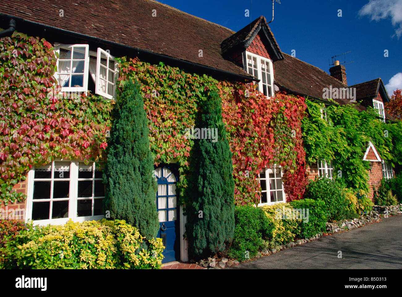 Creeper clad cottage Hursley Hampshire J Brooks Stock Photo Alamy