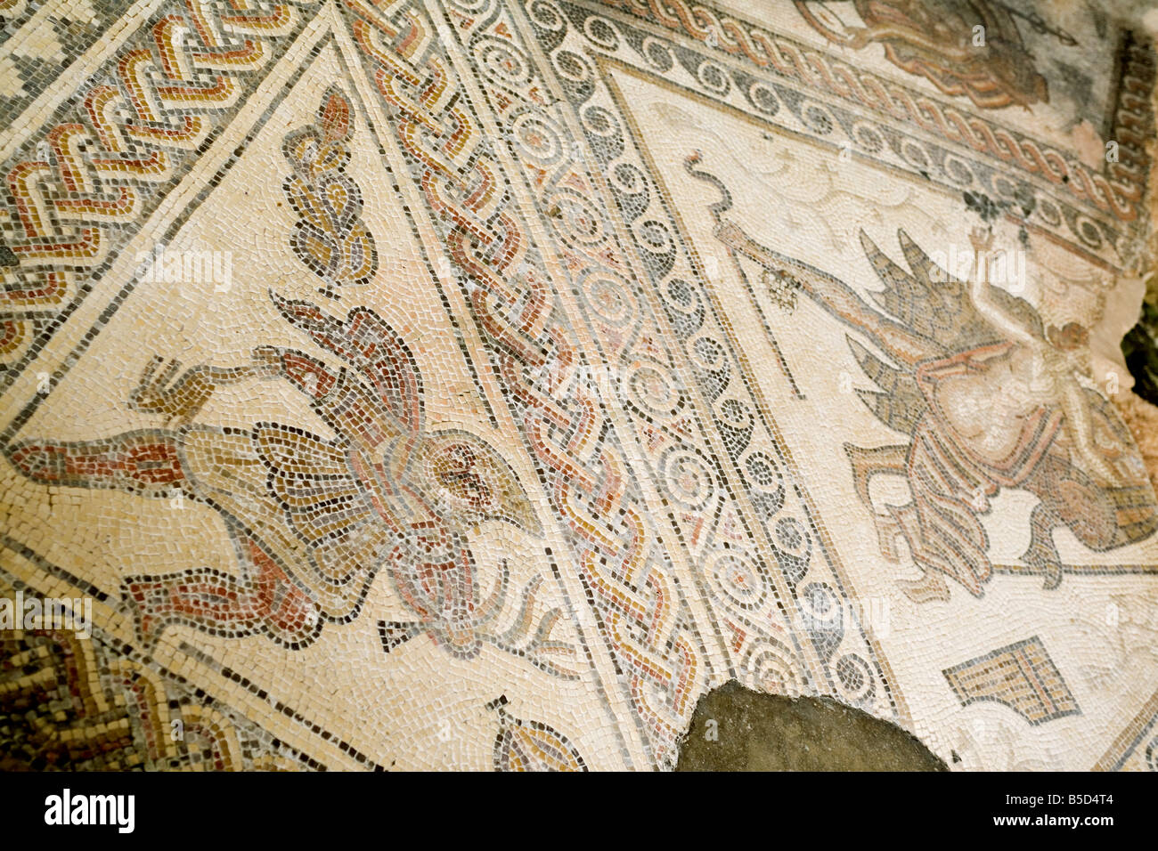 Mosaic Chedworth Roman villa Gloucestershire England United Kingdom Europe Stock Photo