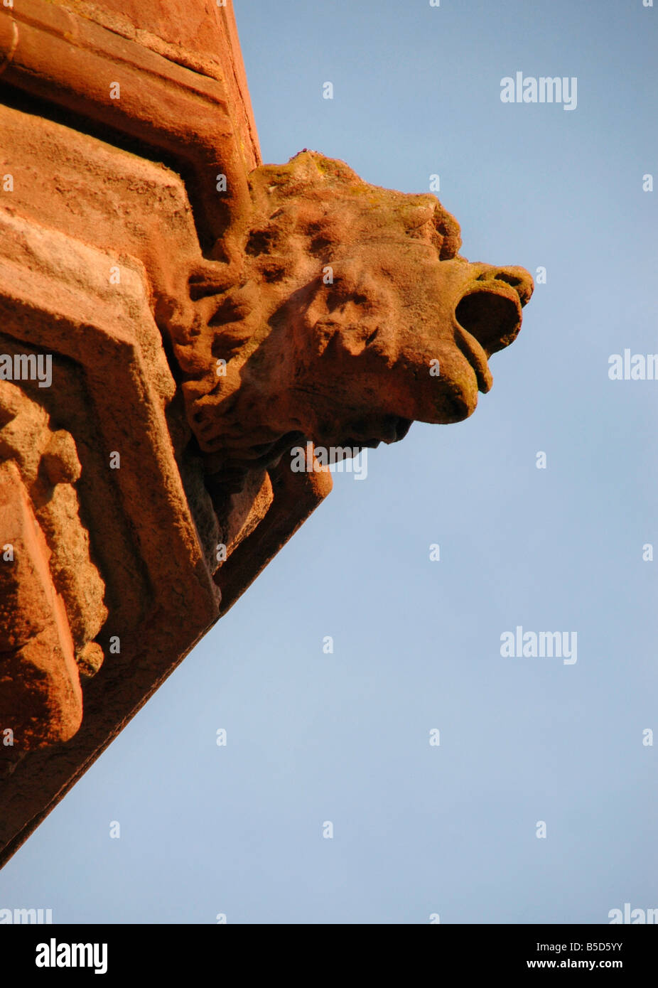 A  gargoyle detail from the Arbroath, Mortuary Chapel and Fraser Mausoleum. Stock Photo