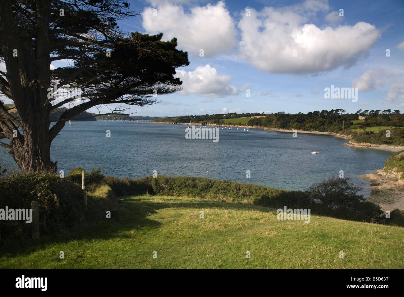 river helford cornwall Stock Photo Alamy