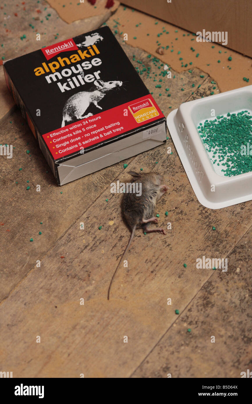 Rentokil High Resolution Stock Photography and Images Alamy