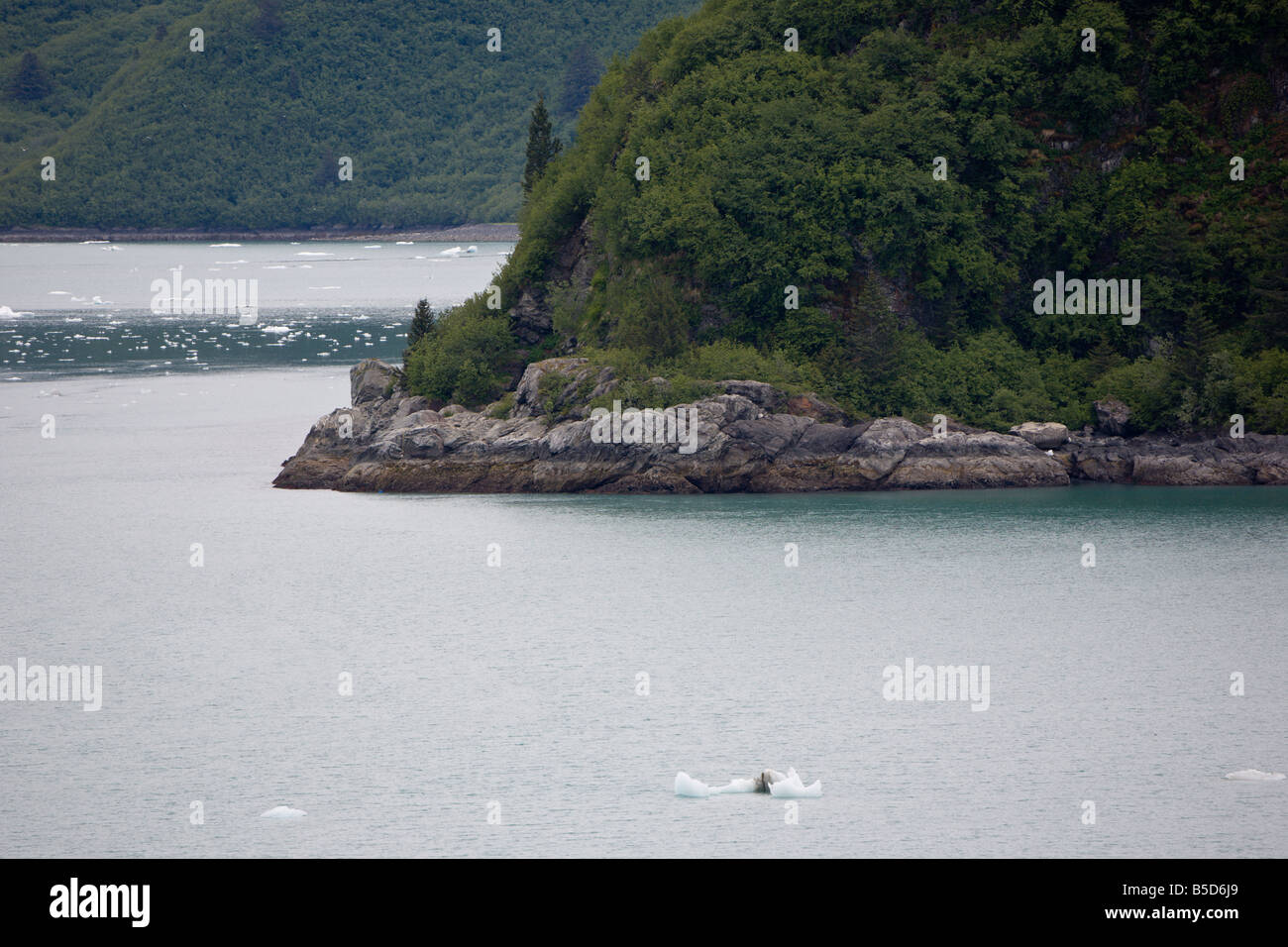 Rocky coastline of an Inside Passage island and ice flow in the waters near Hubbard Glacier in Alaska Stock Photo