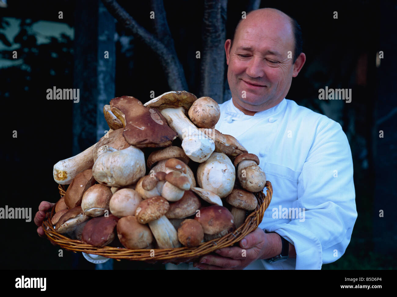 Chef with basket of mushrooms, Lugano, Ticino region, Switzerland, Europe Stock Photo
