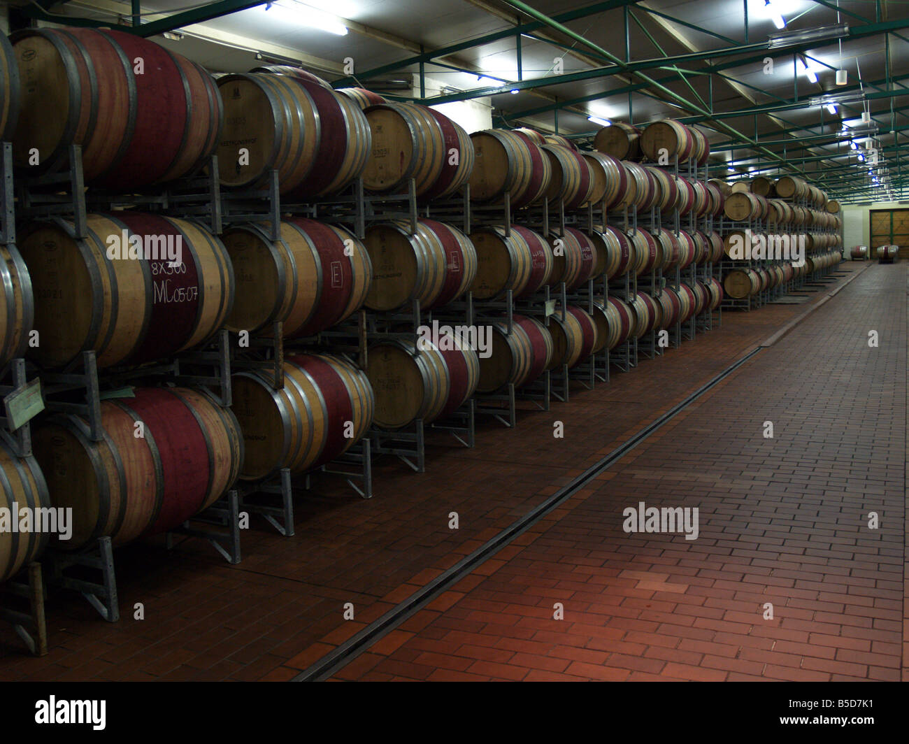 South Africa, Cape Town, wine cooperative, winery, cellar, barrel, wine