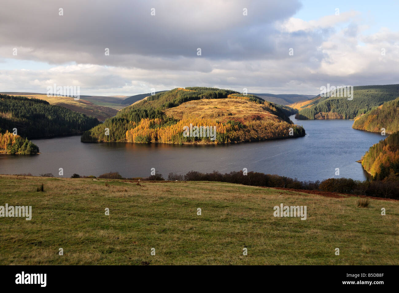 Llyn Brianne Reservoir Llandovery Carmarthenshire Wales Stock Photo Alamy