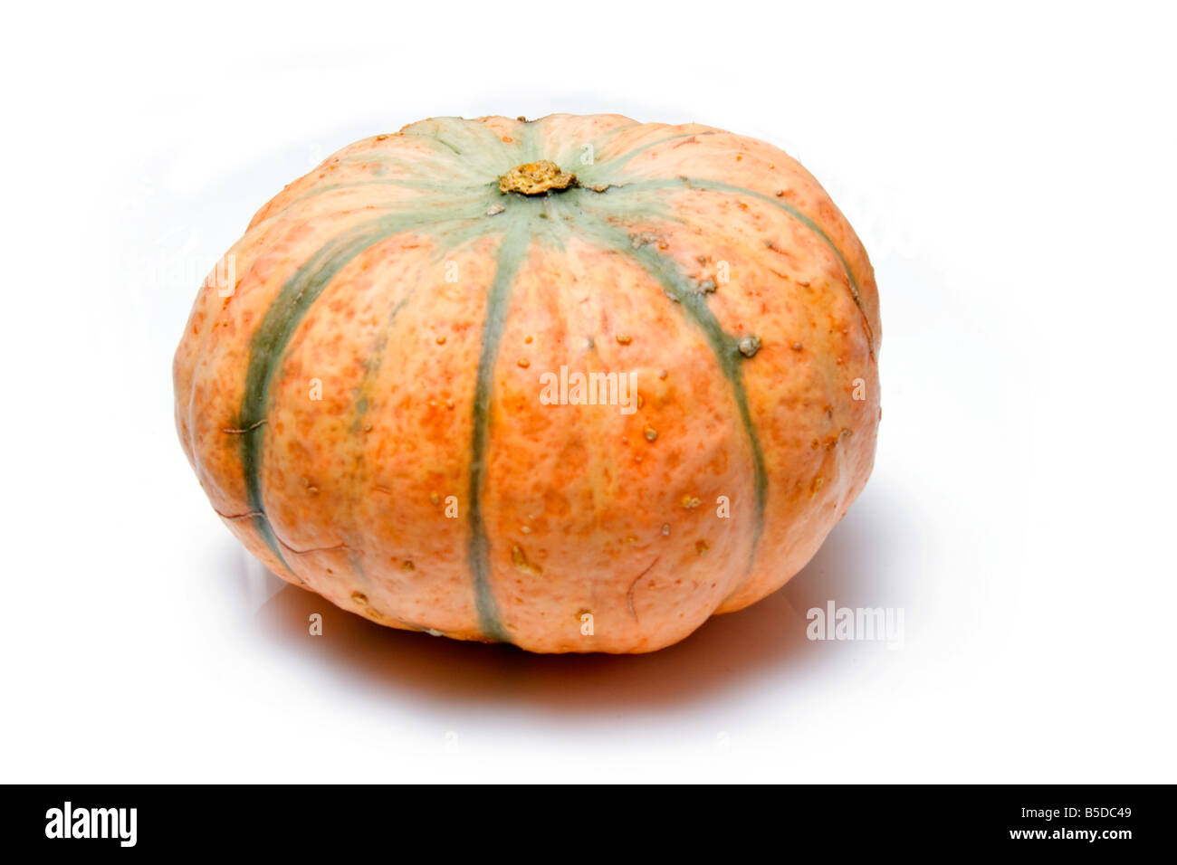 Pumpkin isolated on a white studio background Stock Photo - Alamy
