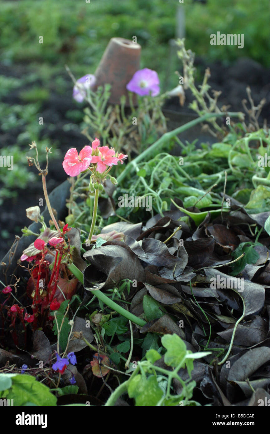 Compost heap Stock Photo