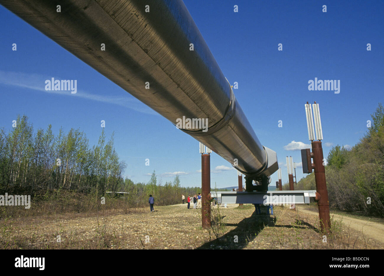 A view of the Alaskan Oil Pipeline as it runs through the Alaskan bush near Fairbanks, Stock Photo