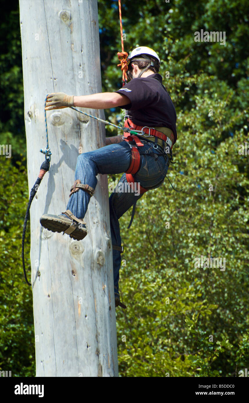 Pole climbing competition hires stock photography and images Alamy
