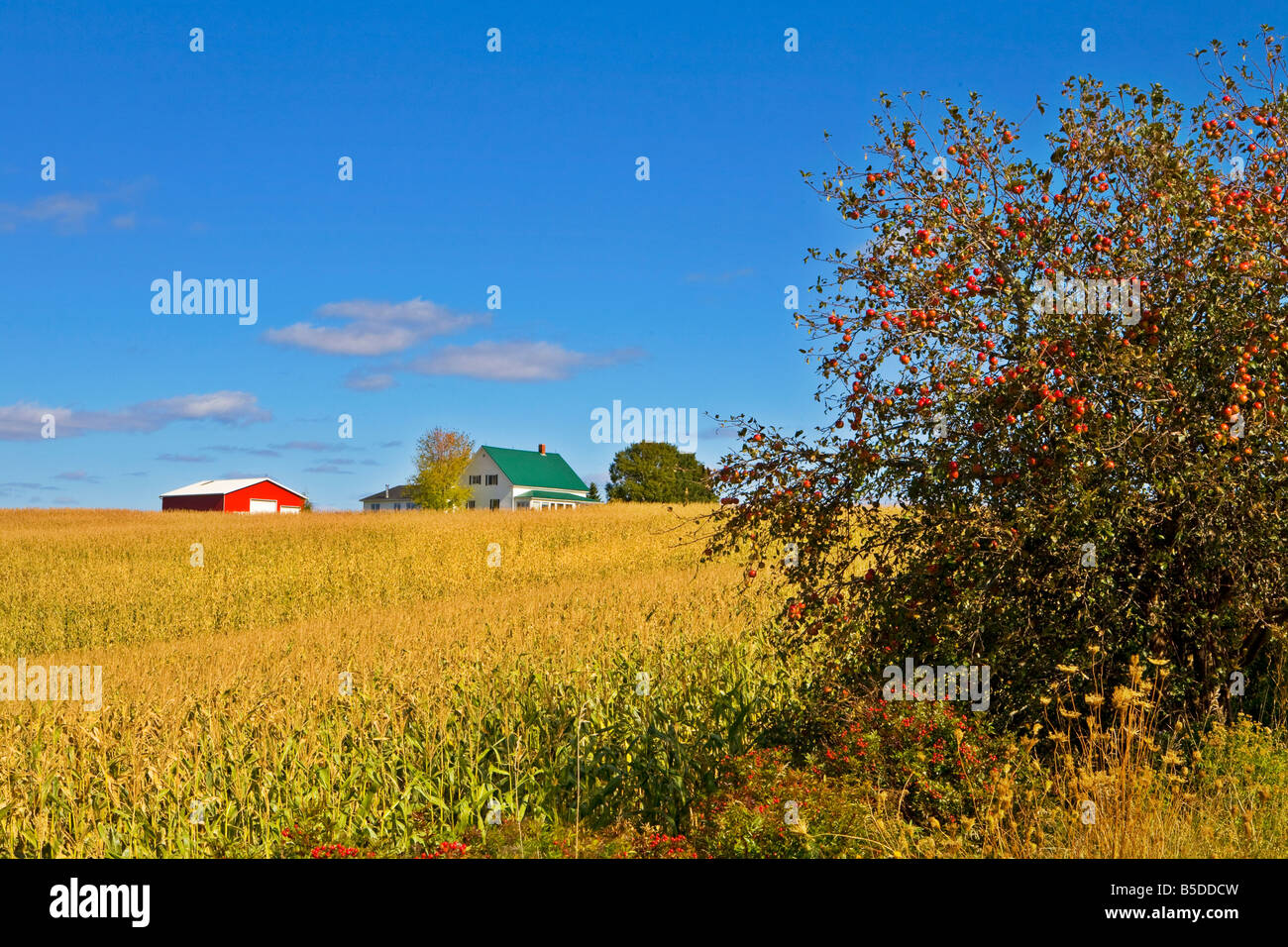 Farm near Truro Heights Nova Scotia Stock Photo