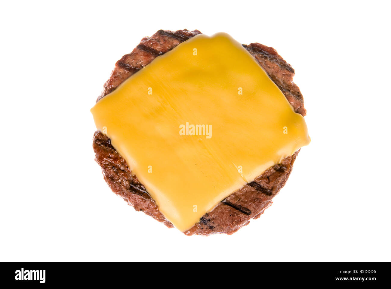 A thick juicy hamburger patty with a melted slice of cheese freshly cooked on a barbecue and isolated on white Stock Photo