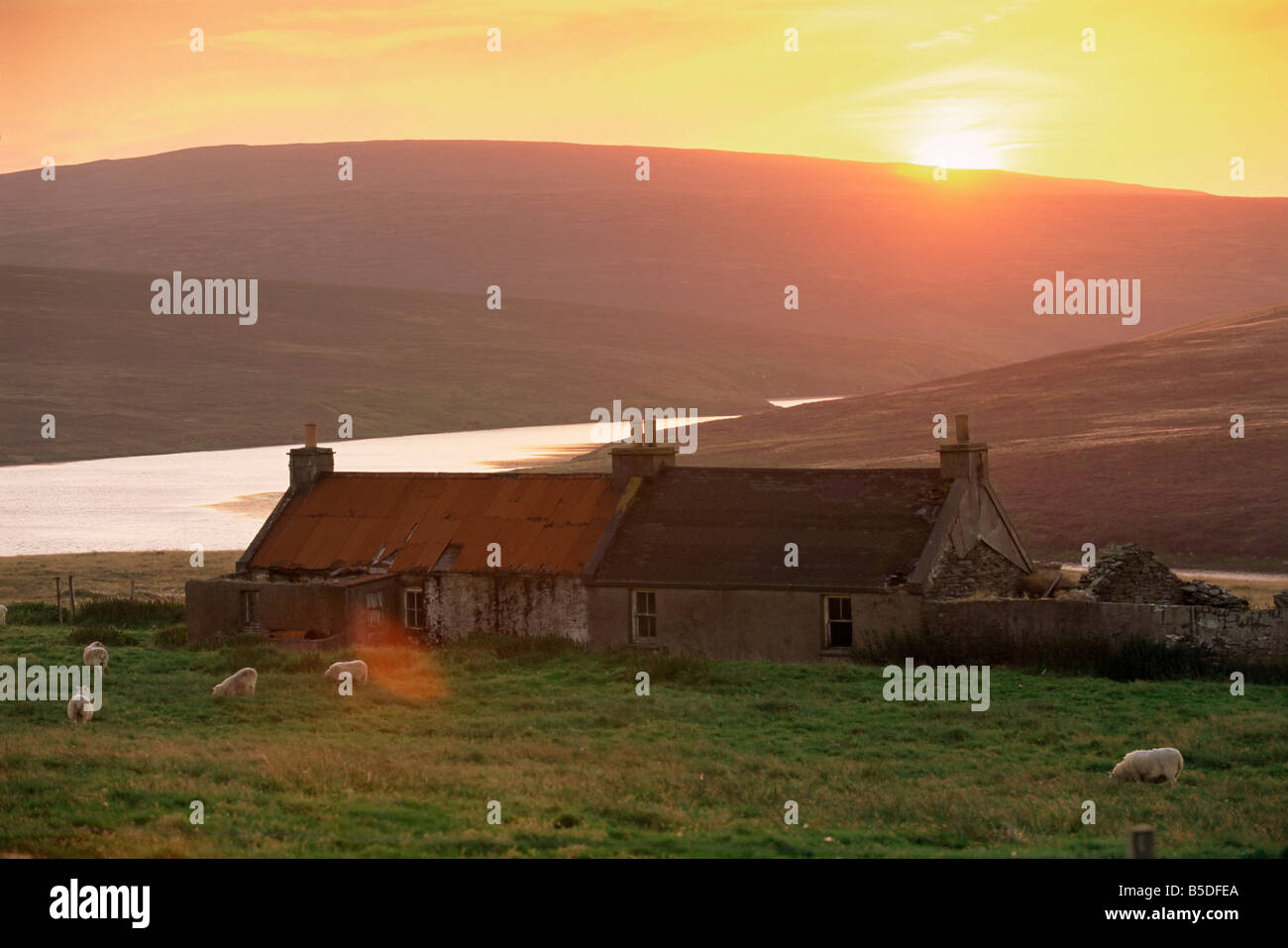 Unst houses hires stock photography and images Alamy