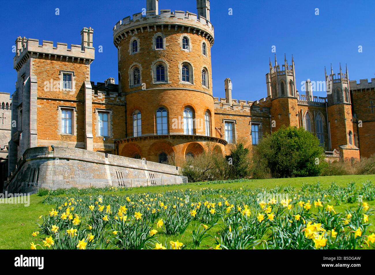 Belvoir Castle Spring Daffodil Flowers Landscape Leicestershire County England UK Stock Photo