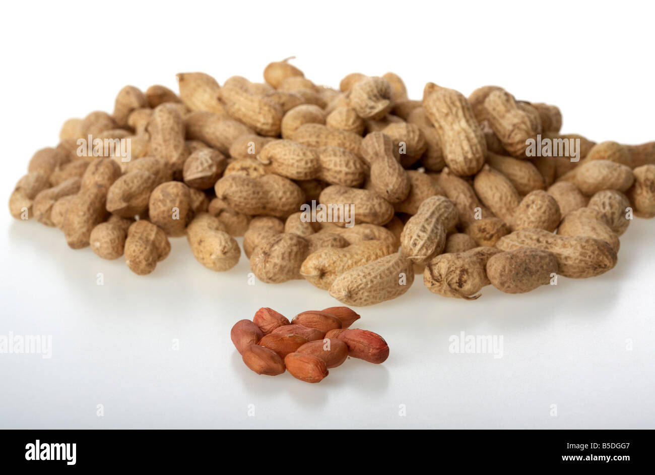 pile of peanuts in their shells and some shelled nuts Stock Photo Alamy