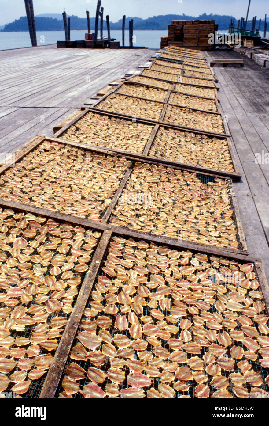 dried fish harbour pangkor town pulau pangkor ipoh peninsular malaysia Stock Photo