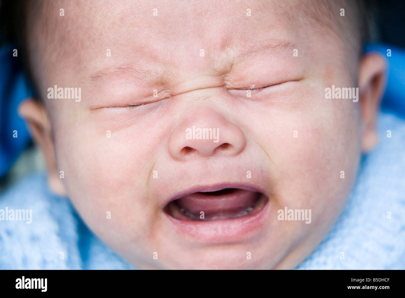6 months old Chinese baby boy crying Stock Photo Alamy
