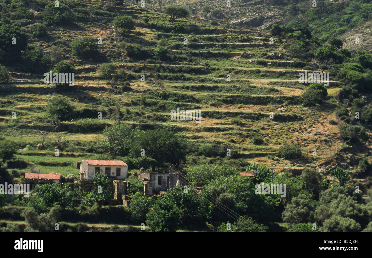 cultivated landscape on terrace on Crete Greece Stock Photo