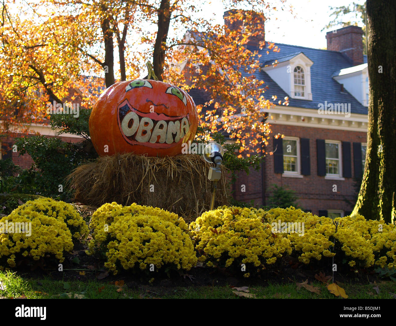 Autumn decorations incorporate support for Barack Obama. Stock Photo