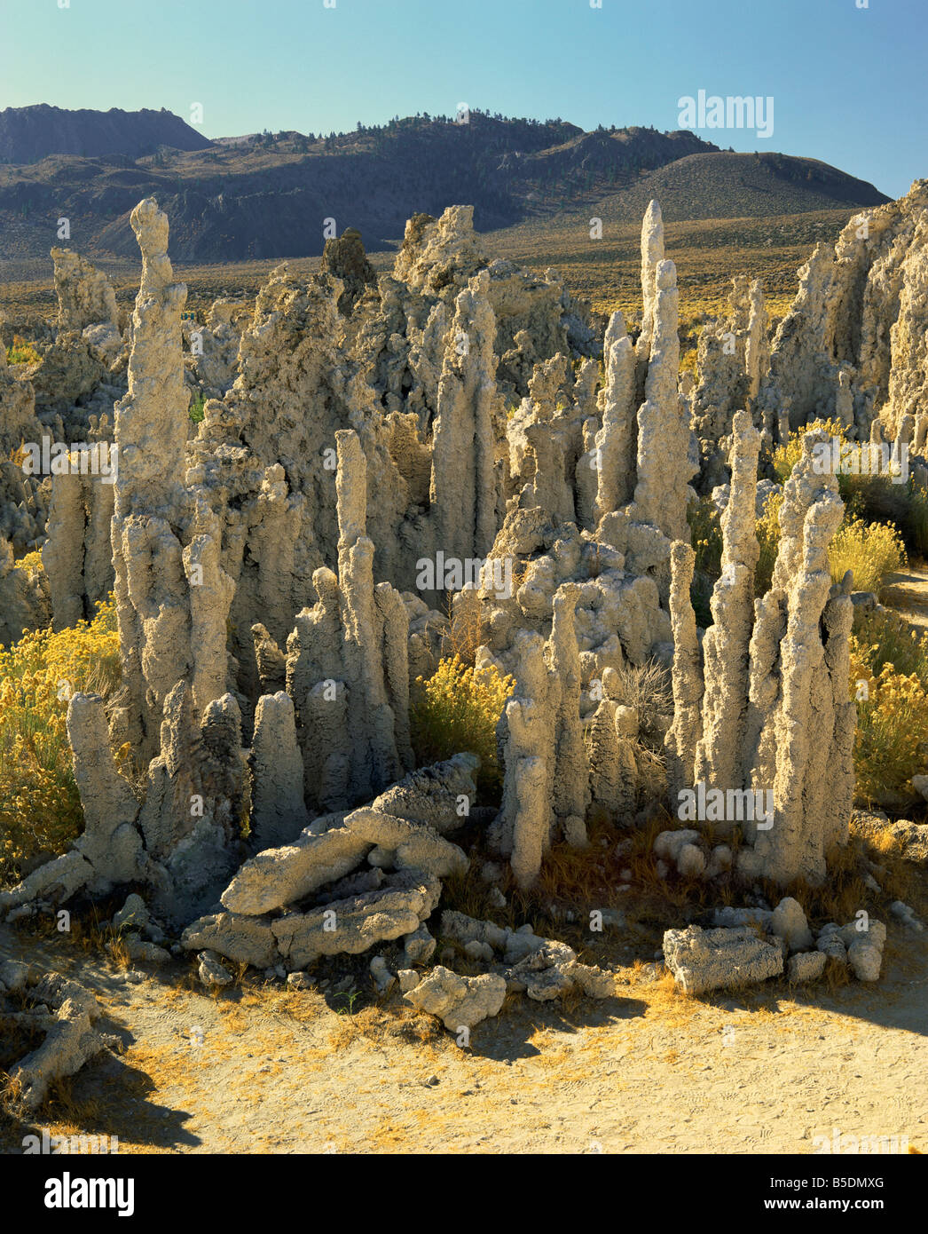 Tufas of calcium carbonate Mono Lake Tufa State Reserve California United States of America North America Stock Photo