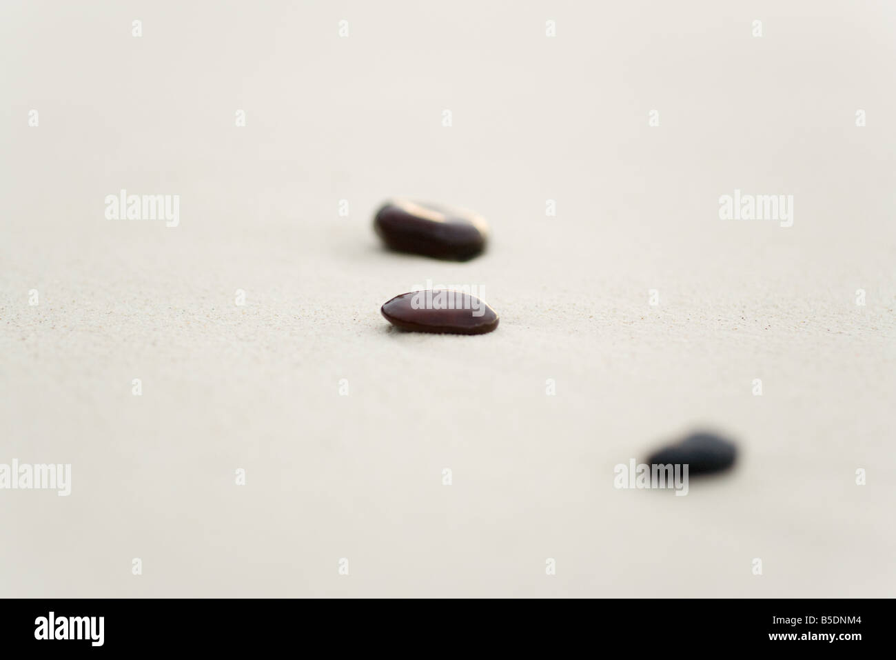 Small stones on sand, one in focus Stock Photo