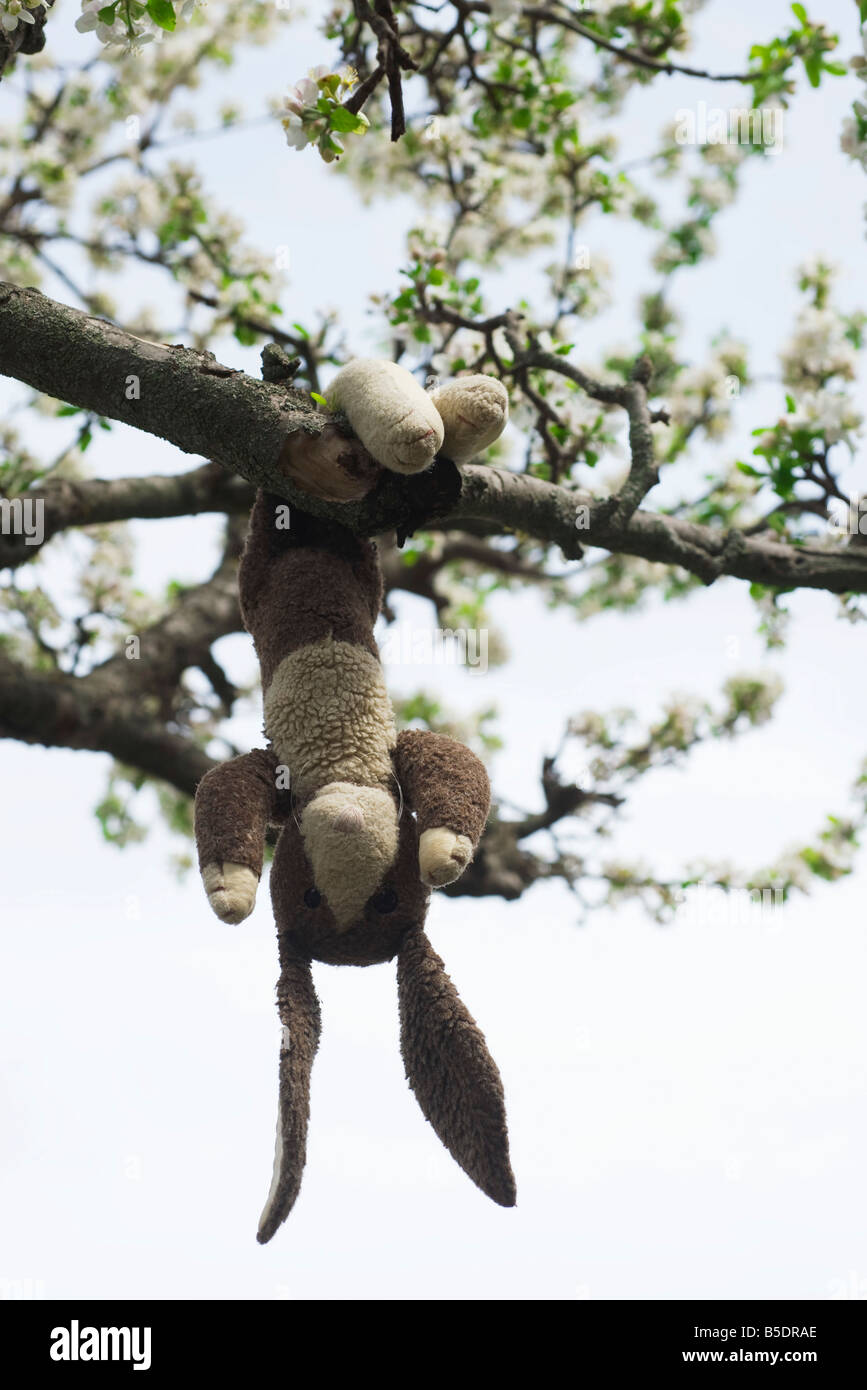 Stuffed rabbit hanging upside down hires stock photography and images