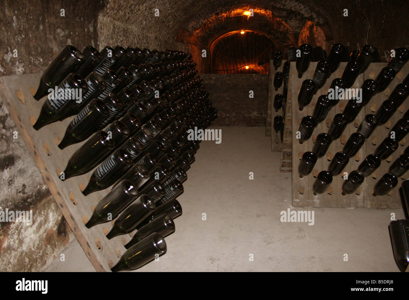 Champagne bottles in various sizes, Imperial, Moet et Chandon winery, LVMH  luxury goods group, Louis Vuitton Moet Hennessy Stock Photo - Alamy