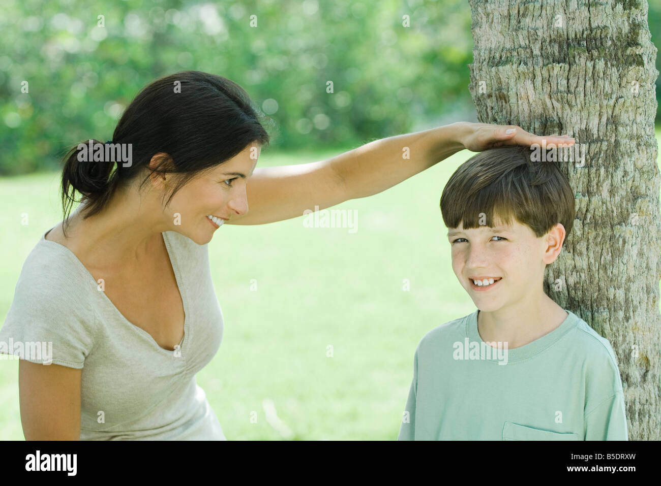 Mother measuring son's height on tree trunk Stock Photo