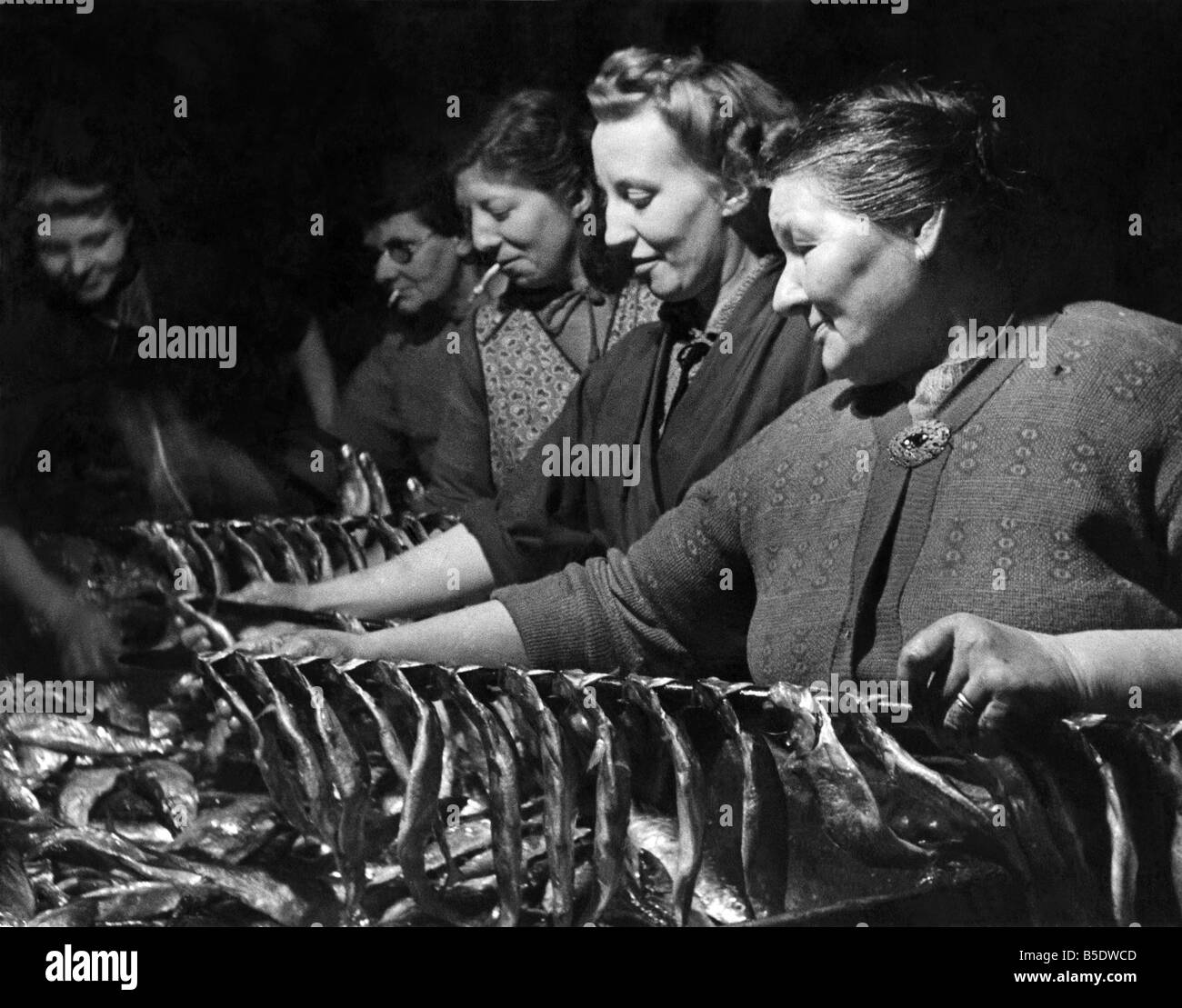 Fishing Industry: Herrings. The lady nearest camera is Mrs. Nelly Godman aged 65 years, she has handled over a million herrings Stock Photo
