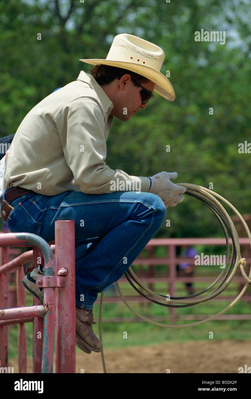 Cowboy at the rodeo, San Antonio, Texas, USA, North America Stock Photo