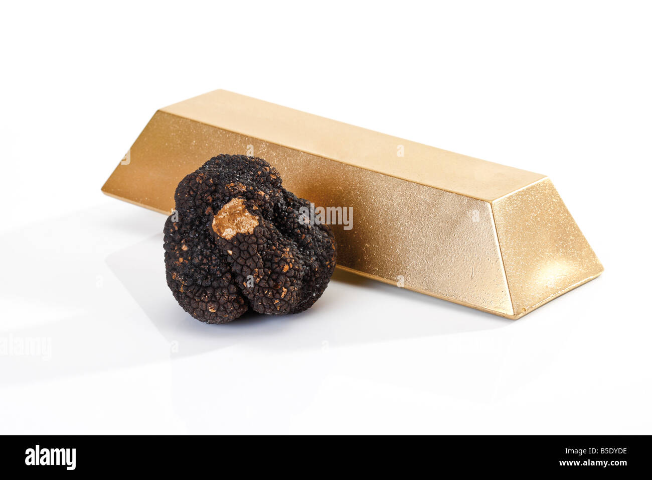 Black Truffle and gold bar, close-up Stock Photo