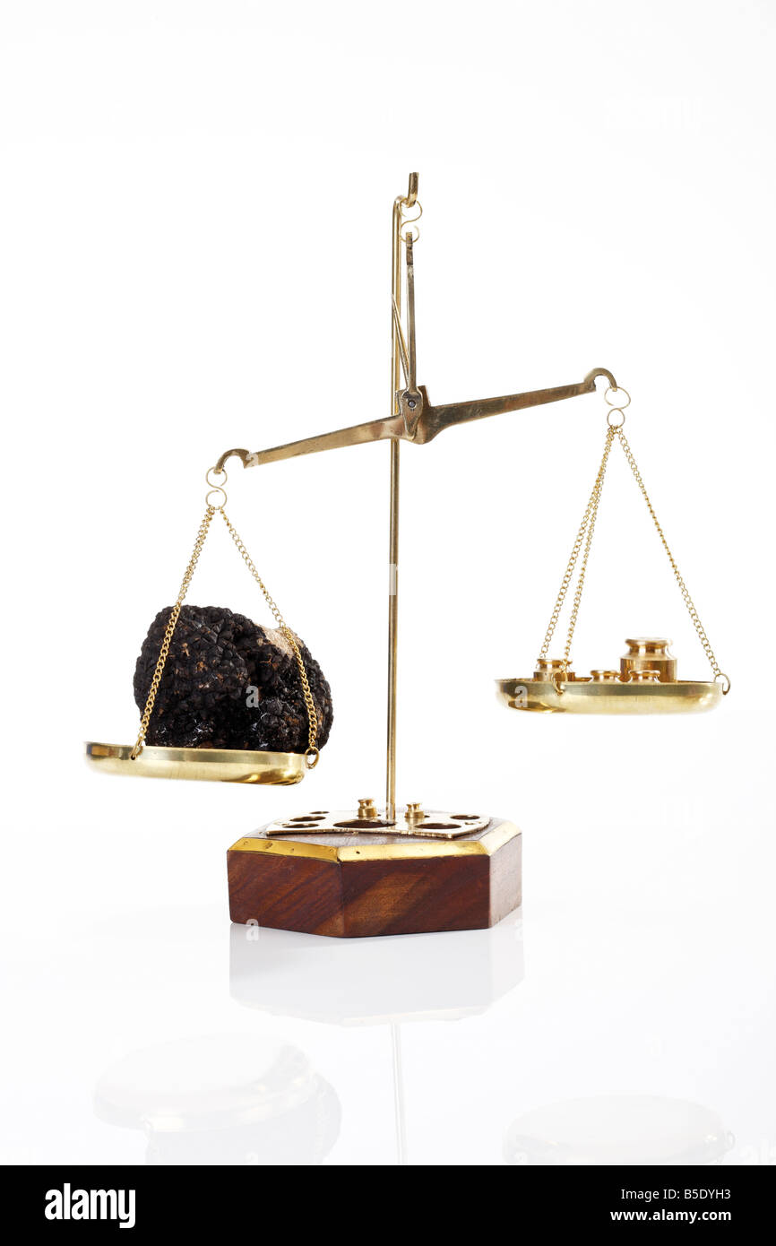 Black Truffle on a pair of scales Stock Photo