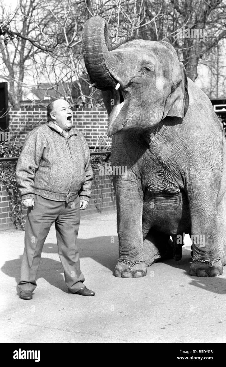 Actor: Roy Kinnear seen here with an elephant at London Zoo. February 1987 Stock Photo