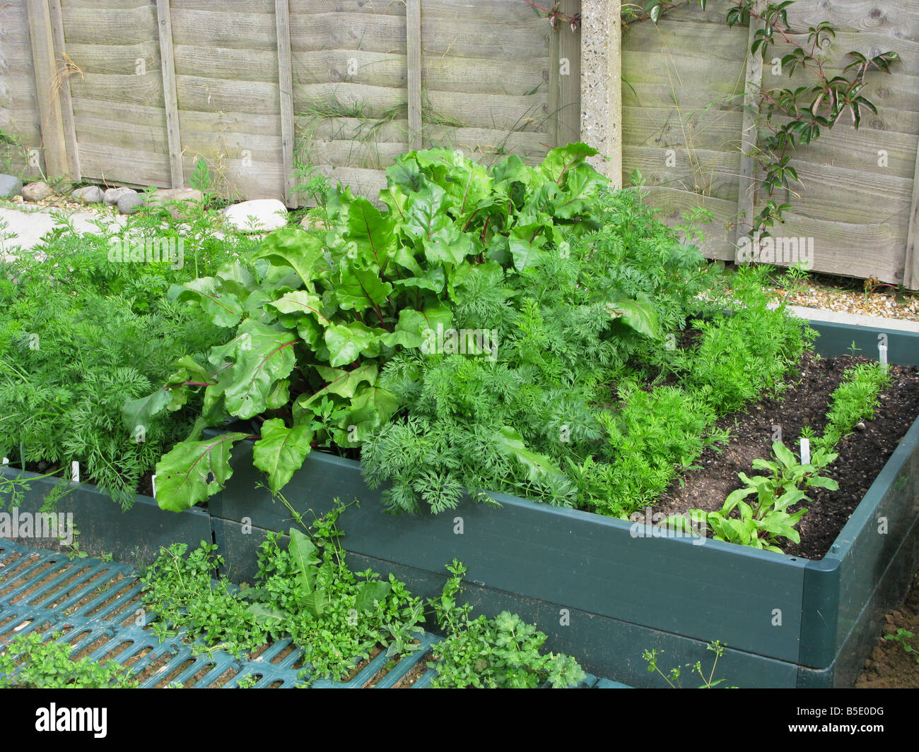Raised bed vegetables hi-res stock photography and images - Alamy