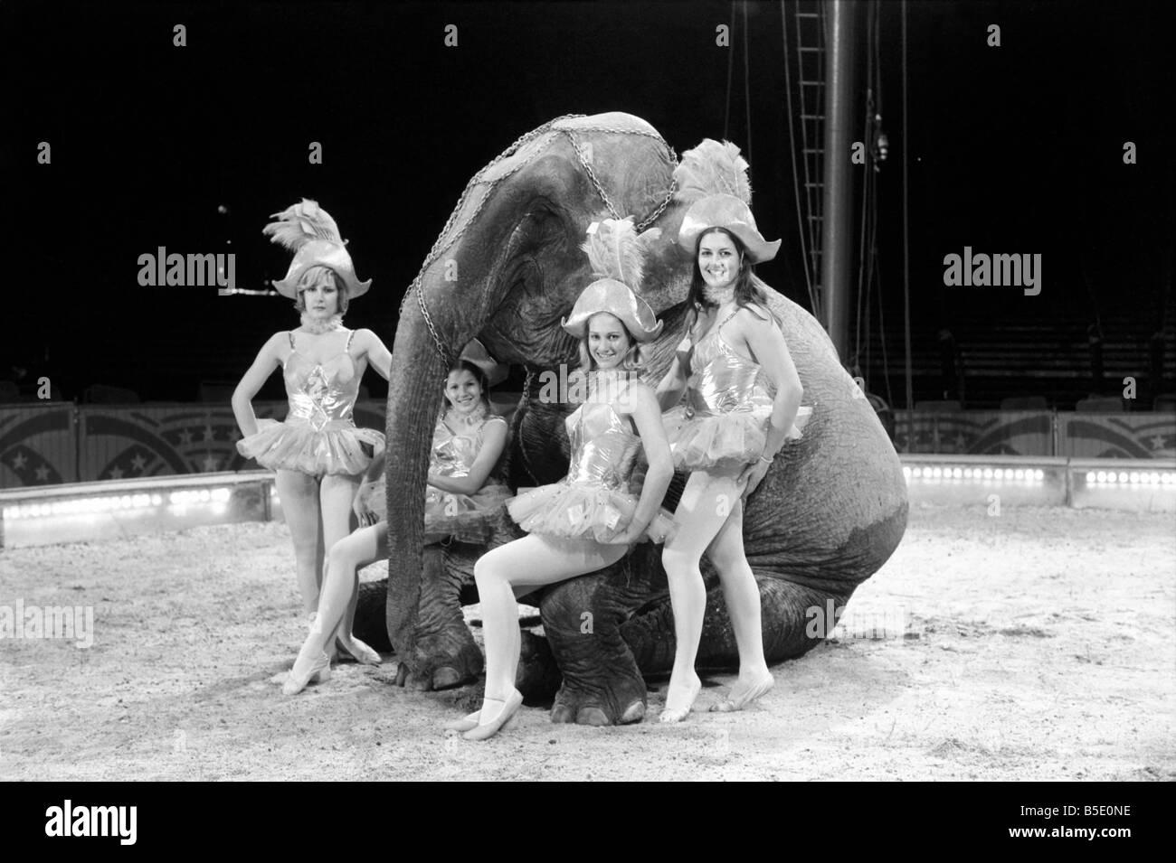 Travel by Jumbo is the motto of the four Smart Sisters who are busy training for the Christmas Day Circus show which is being produced by their father David Smart at the Circus Winter quarters in Winkfield Berkshire. The four girls are Gabriella, aged 13 (smallest with long dark hair), Davida, aged 14 (long blonde hair), Rebecca aged 20 (short blonde hair with fringe) and Yasmin, aged 21, (tallest girl with long dark hair). This will be first time that the girls have appeared together and also the first appearance of the four young Elephants whose age are from 8-14 years Stock Photo