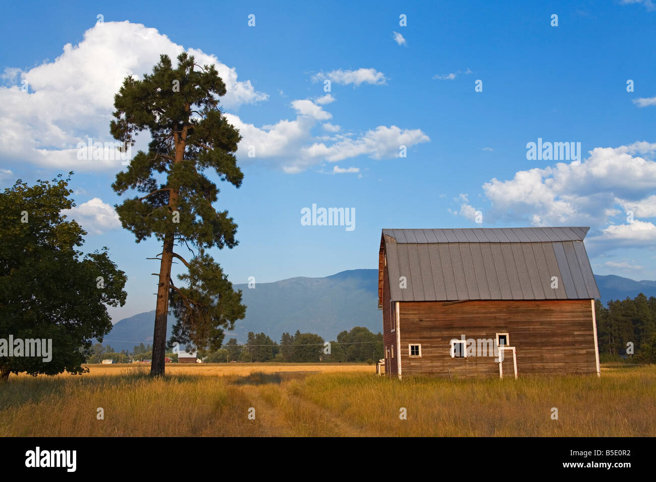 Barn near Kalispell, Montana, USA, North America Stock Photo Alamy