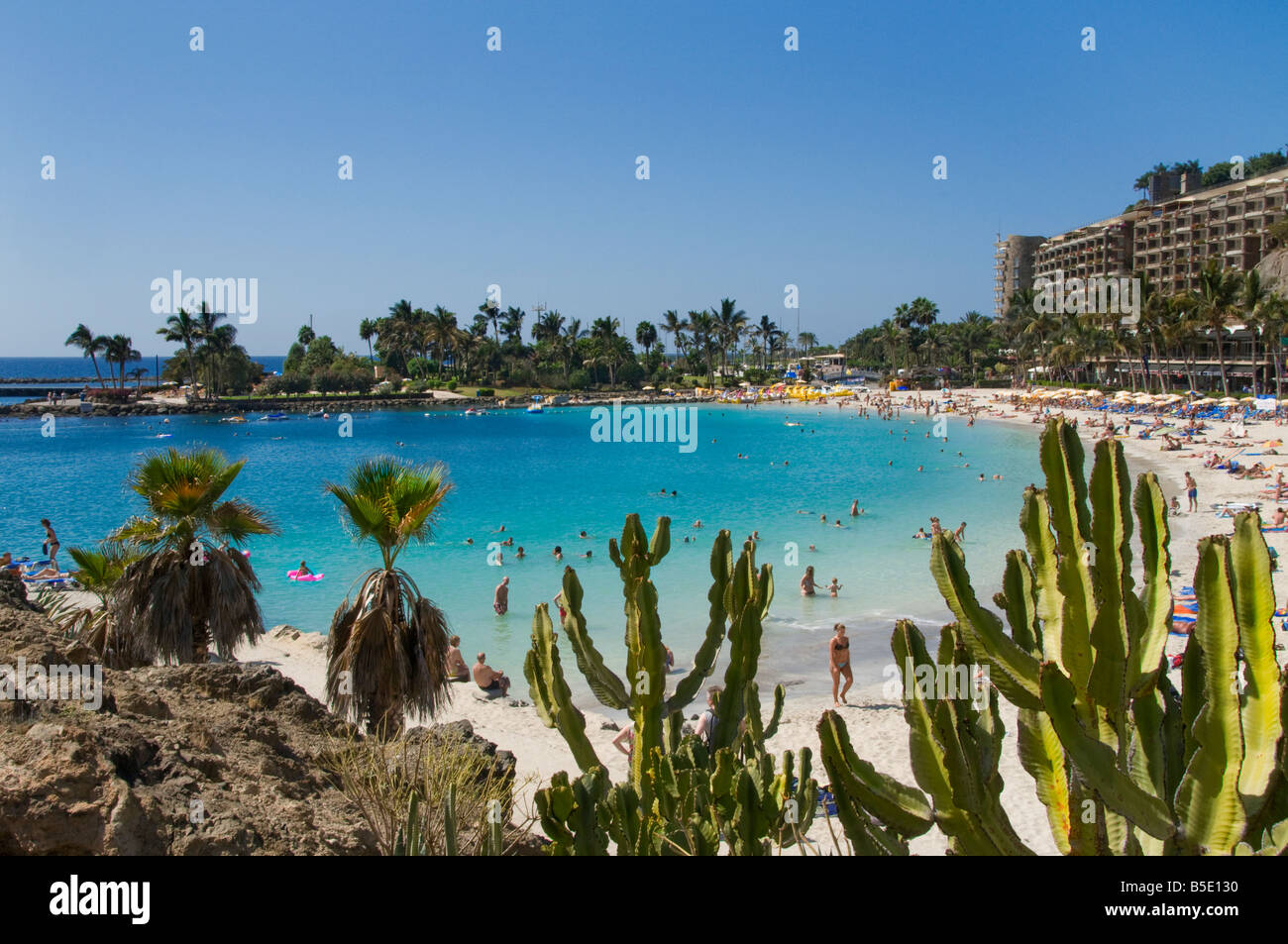 GRAN CANARIA Anfi beach luxury sandy beach resort with exotic cacti in foreground Gran Canaria Canary Islands Spain Stock Photo