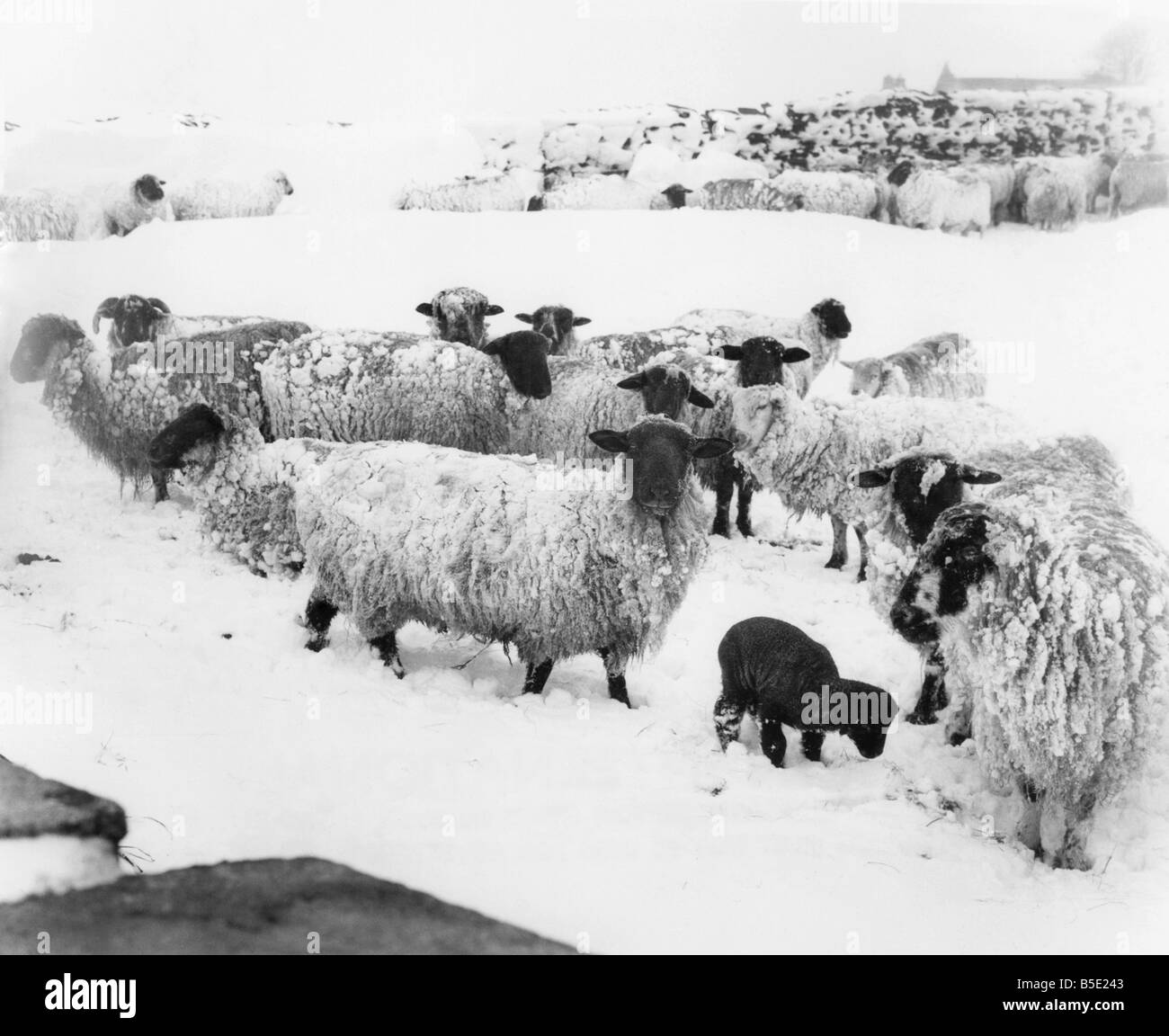 Burnley landscape Black and White Stock Photos & Images Alamy