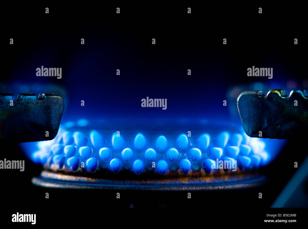 Closeup of blue gas flames on a domestic cooker, on a black background. Stock Photo