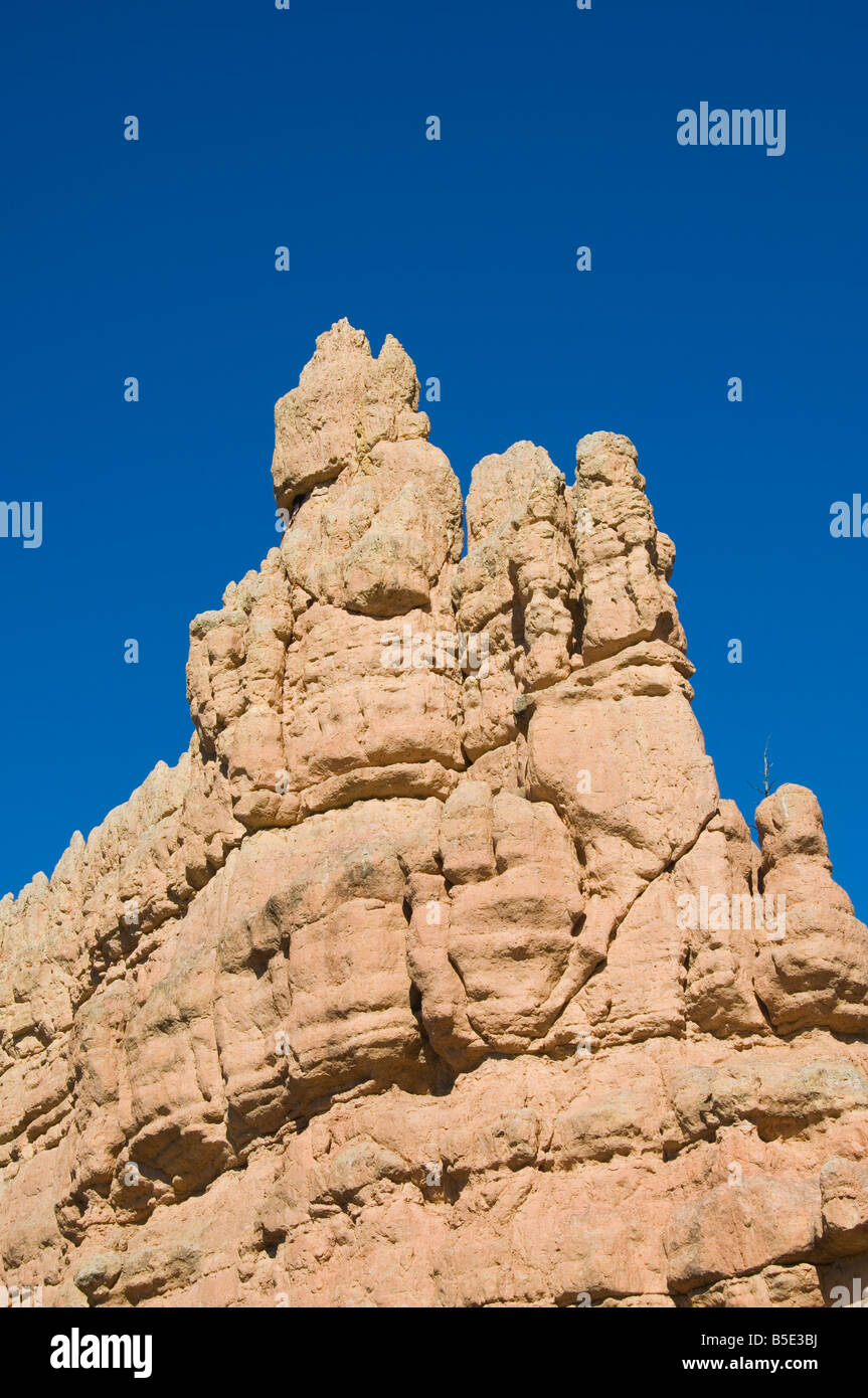Red Canyon in Dixie National Forest, Utah, USA, North America Stock Photo