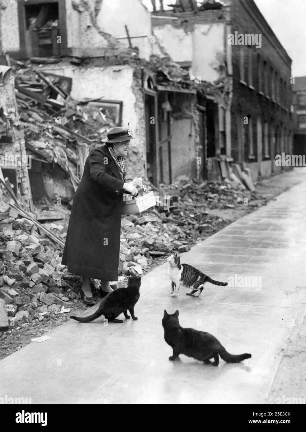 Mrs. Caroline Roberts of 22 Lindfield street, Poplar, London seen here feeding cats made homeless by the Nazi bombing. Nov. 1940 Stock Photo