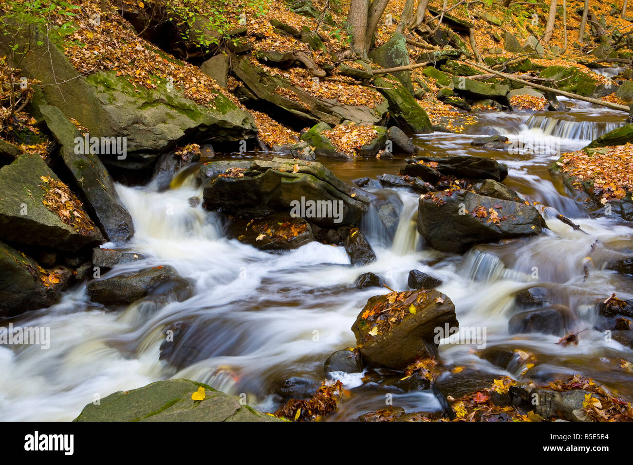 Grindstone Creek in Fall Niagara Escarpment Bruce Trail Hamilton Ontario Canada Stock Photo