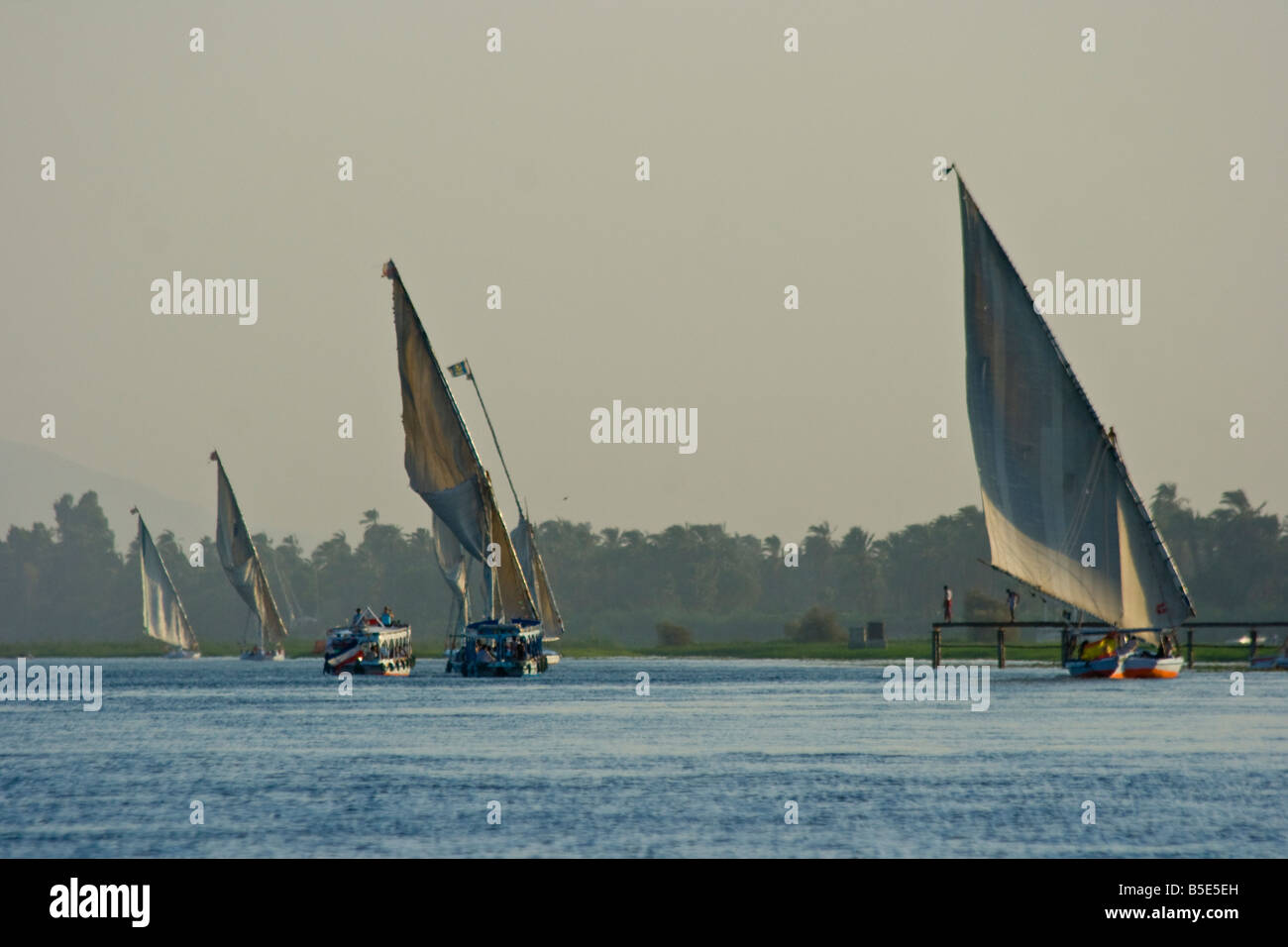 Felucca Sailboats on the Nile River in Luxor Egypt Stock Photo - Alamy