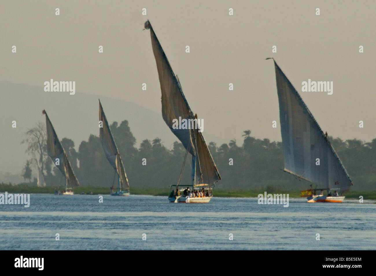 Felucca Sailboats on the Nile River in Luxor Egypt Stock Photo - Alamy
