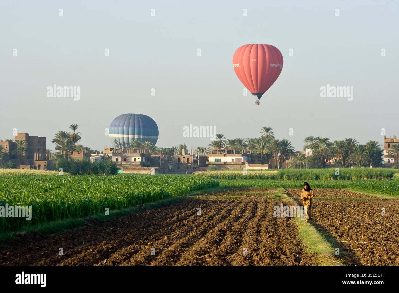 Hot Air Balloons over Fields in Luxor Egypt Stock Photo